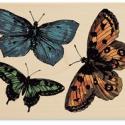 Image of Three Butterflies UR1009 Wood Mounted Rubber Stamp