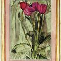 Image of Tulips On Green Wood Mounted Rubber Stamp